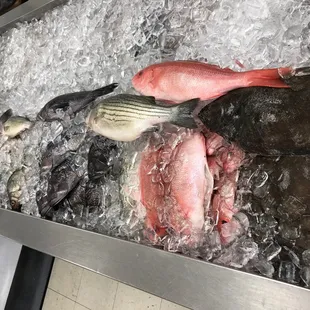 Best Selection of Seafood in Charlotte