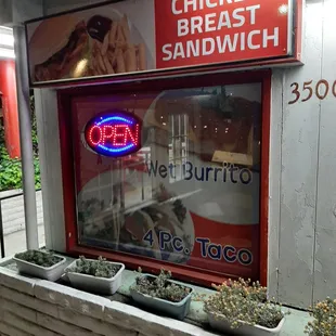 a chicken breast sandwich