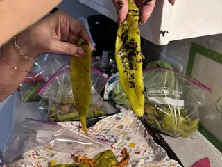 Grajeda Hatch Chile Market