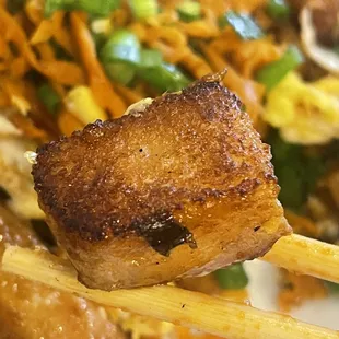 Pan Pan-Fried Rice Cake