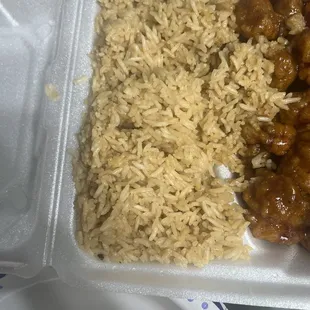 a tray of rice and meat