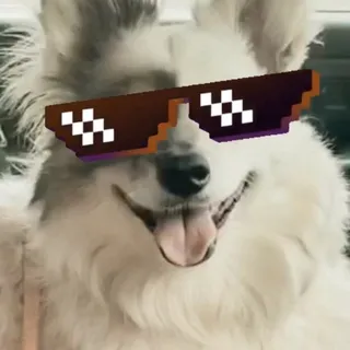 C M.