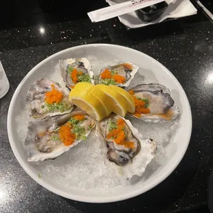 Oysters