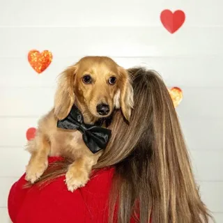 Dixie H.