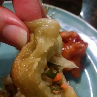 Inside of fried veg dumpling