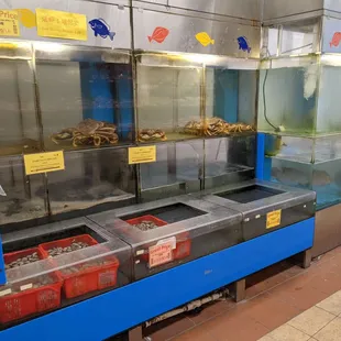 Live seafood tanks. Reasonable prices here.