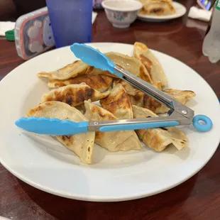 Fried 25. Chicken Dumpling