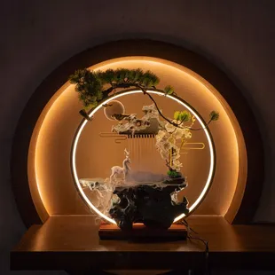 a bonsai tree in a circular light