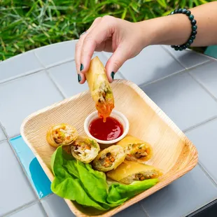 Crispy Spring Rolls