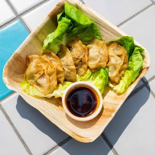 Pan-seared Gyoza