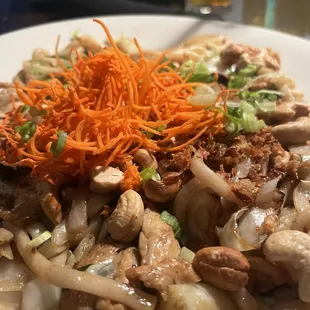 Chicken udon