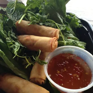 Spring Rolls