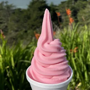 Watermelon flavored! Great non-dairy, vegan, soft serve!