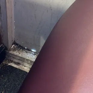 So nasty! This is where the pests come in!