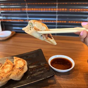 Pork gyoza