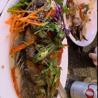 126. Ginger Sea Bass