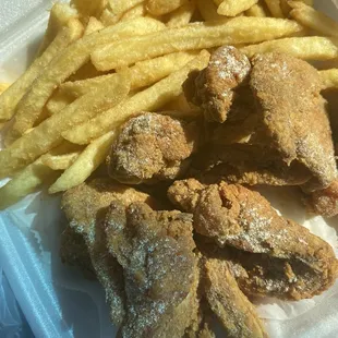 6 piece whole wing with fries