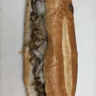 10&quot; steak sub