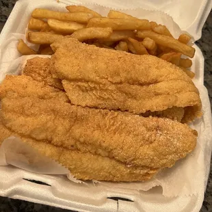 Large catfish fillet dinner