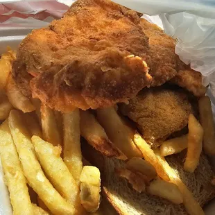 Catfish and chicken combo with fries.