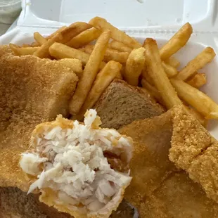 Catfish Fillet and Fries