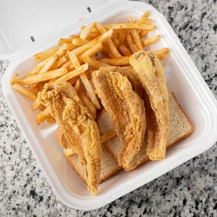 Ocean perch