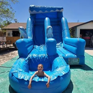 14' Blue Dolphin Water Slide Rental