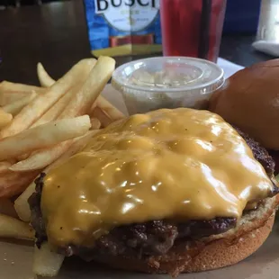 Cheeseburger and fries are awesome here!