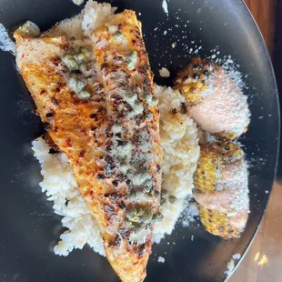 Walleye Fish