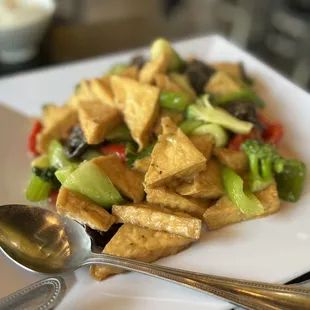 Vegetable Tofu