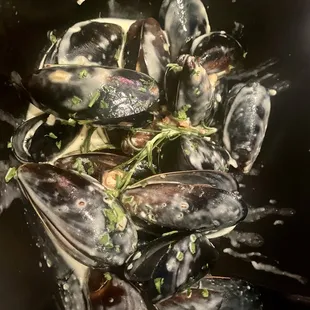 Mussels