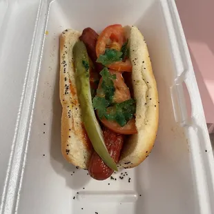 Chicago hot Chicago Dog Combo