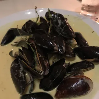 Steamed Mussels**