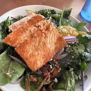 Salmon Salad