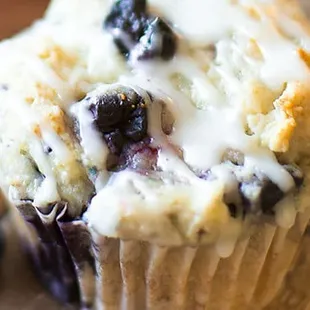 Organic fresh picked blueberries for our blueberry muffins