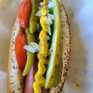 Chicago Hotdog