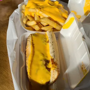a hot dog and french fries