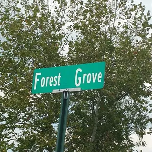 Meet me at the Grove