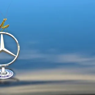 Mercedes Benz Ad Still and it's real Shot by Jeff Landers of JL Images.