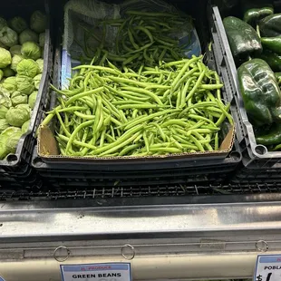 Fresh green beans!