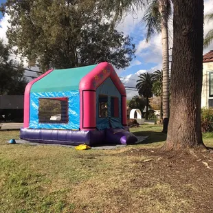13ft x 13ft Pink Bounce House