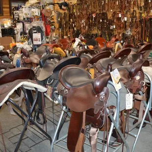 Harness and Tack supplies