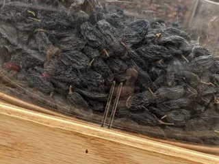 Magnet International Market