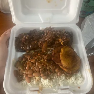 Stewed Chicken Lunch