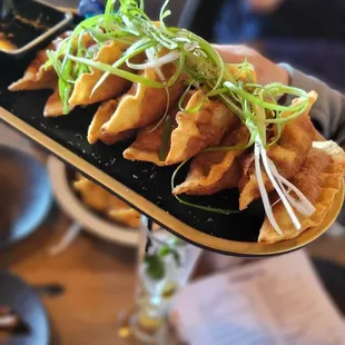 Crispy and juicy gyoza