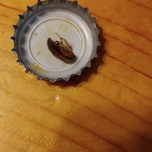 Found this roach in our tangy spicy shrimp.