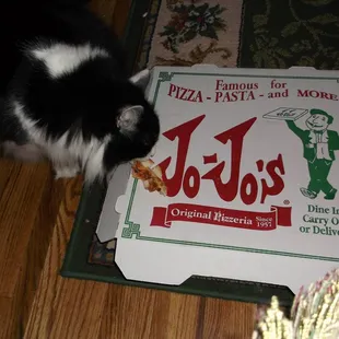 even my cat loves this pie