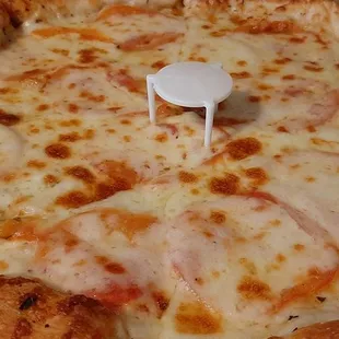 Medium white with tomato 10.70