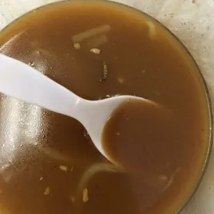 WORM/LARVEL ORGANISM IN MY SOUP