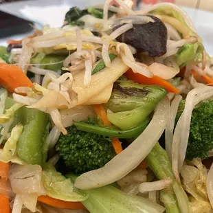 Vegetable Chop Suey